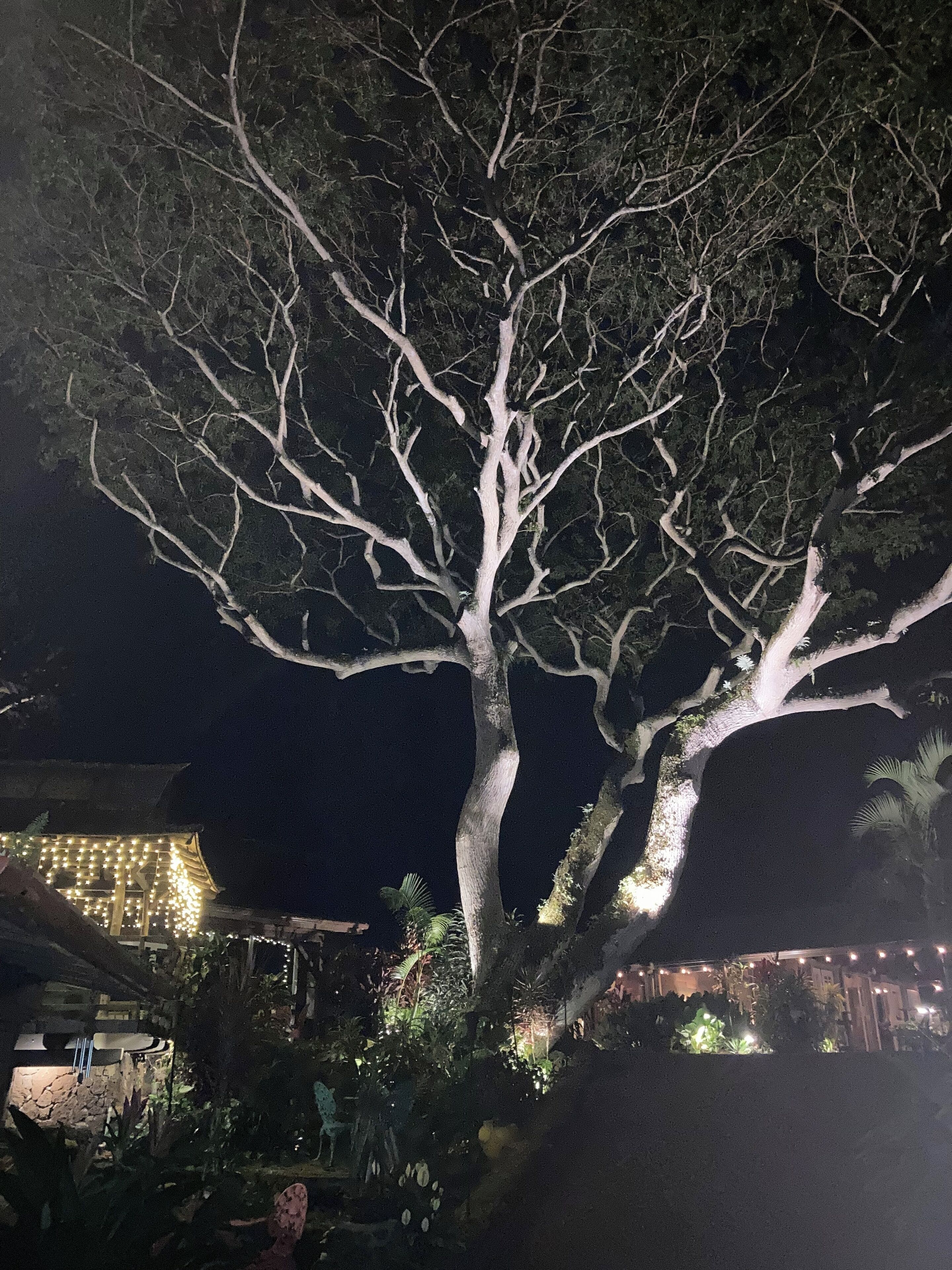 Foto - Hale Maluhia Country Inn
