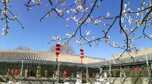 A traditional building with a tiled roof and a covered entrance area. - Beijing Badaling Great Wall Caos Hostel (Yanqing)