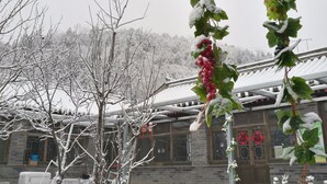 A traditional building with a snow-covered roof and a hanging basket with grapes and red flowers. - Beijing Badaling Great Wall Caos Hostel (Yanqing)
