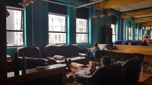 Interior - Wild Zebra Backpackers (Wellington)