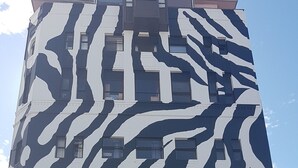 Exterior - Wild Zebra Backpackers (Wellington)
