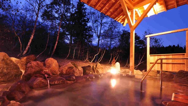 A hot spring area with a wooden structure, rocks, and trees in the background. - Ryokan Okayama (Myoko)