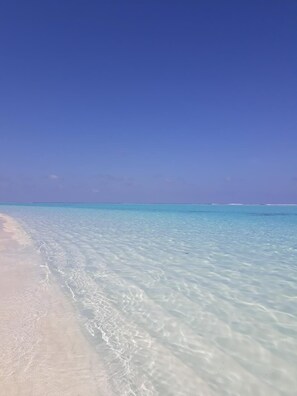 On the beach, scuba diving - Sunrise Inn (Thoddoo)