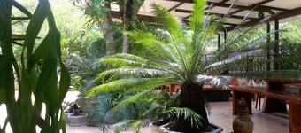 Maliwan Holiday Home