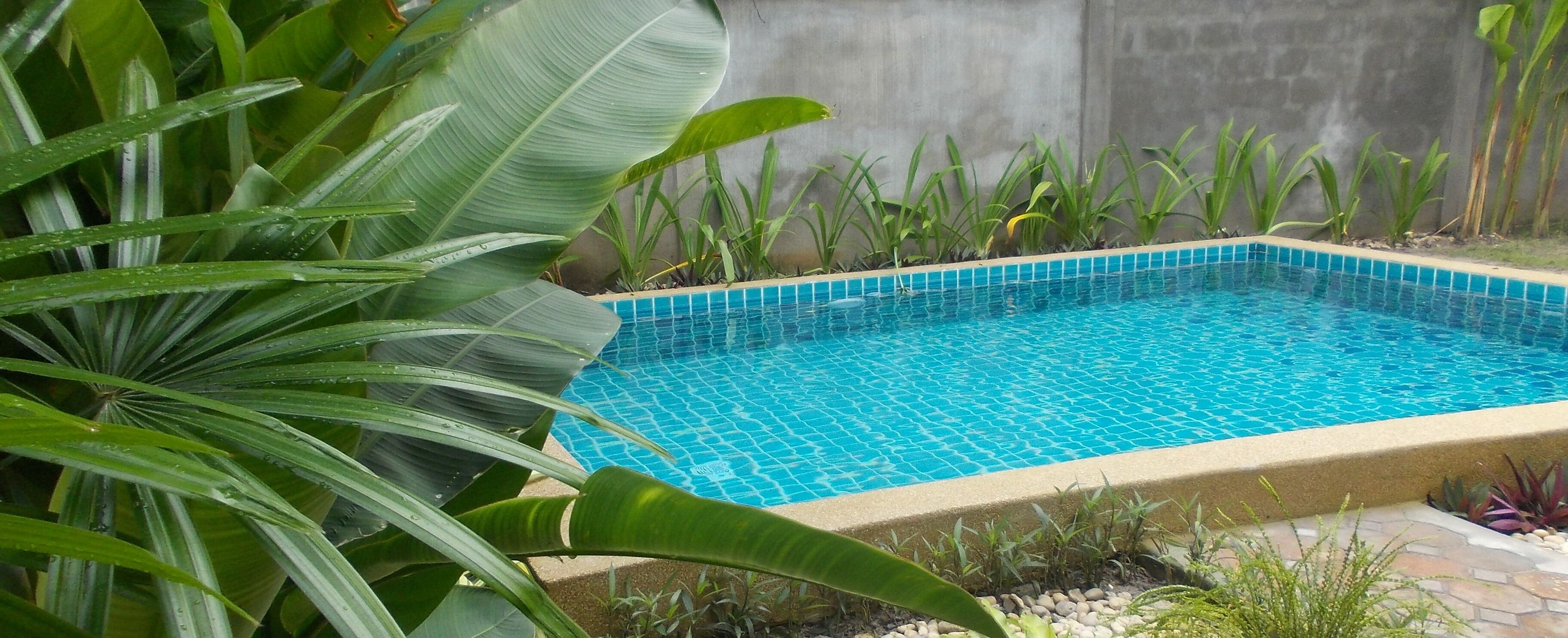 Kolam renang