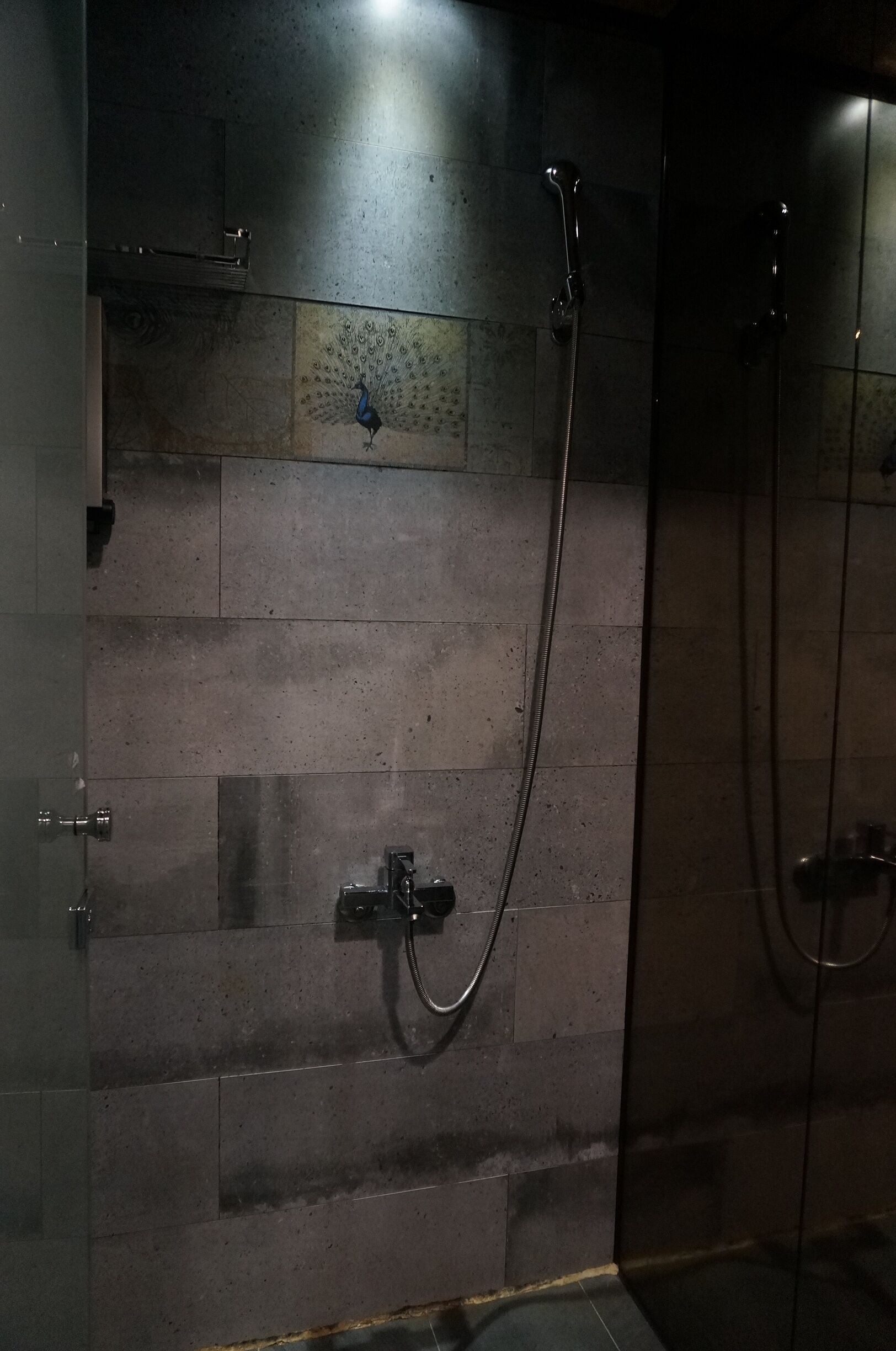 Douche de la salle de bain