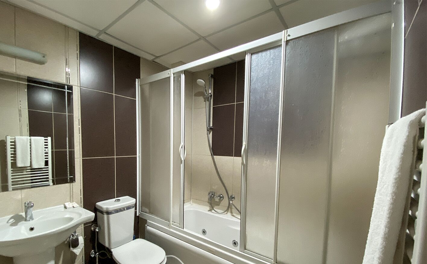 suite | bathroom | shower, hydromassage showerhead, free toiletries, hair dryer