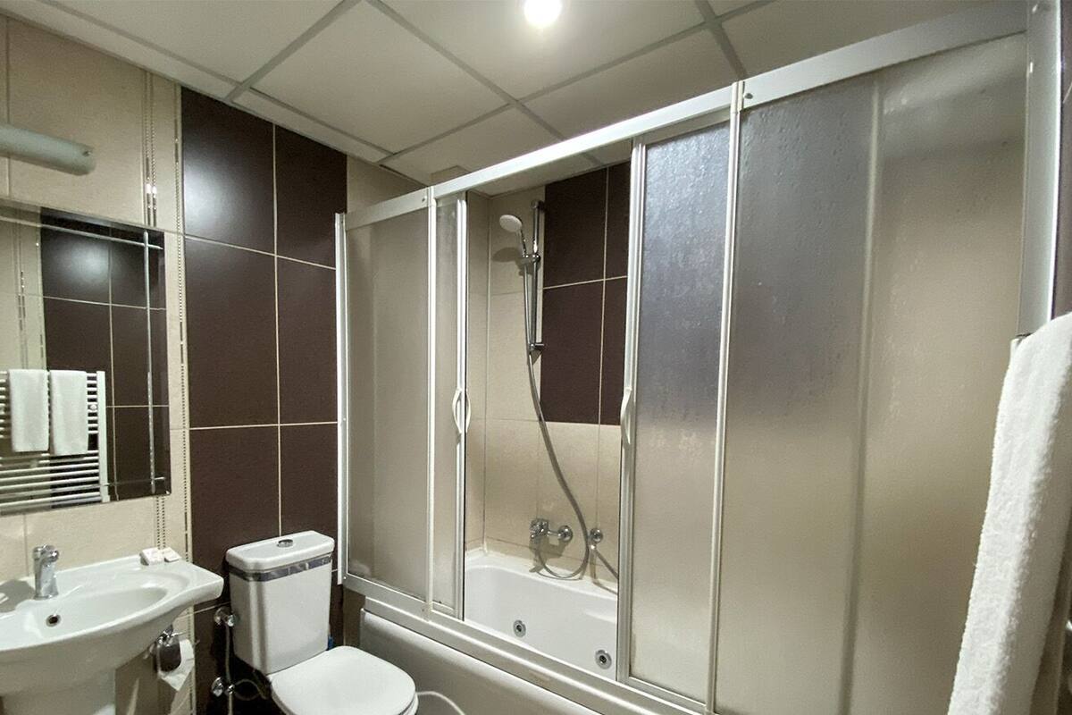suite | bathroom | shower, hydromassage showerhead, free toiletries, hair dryer