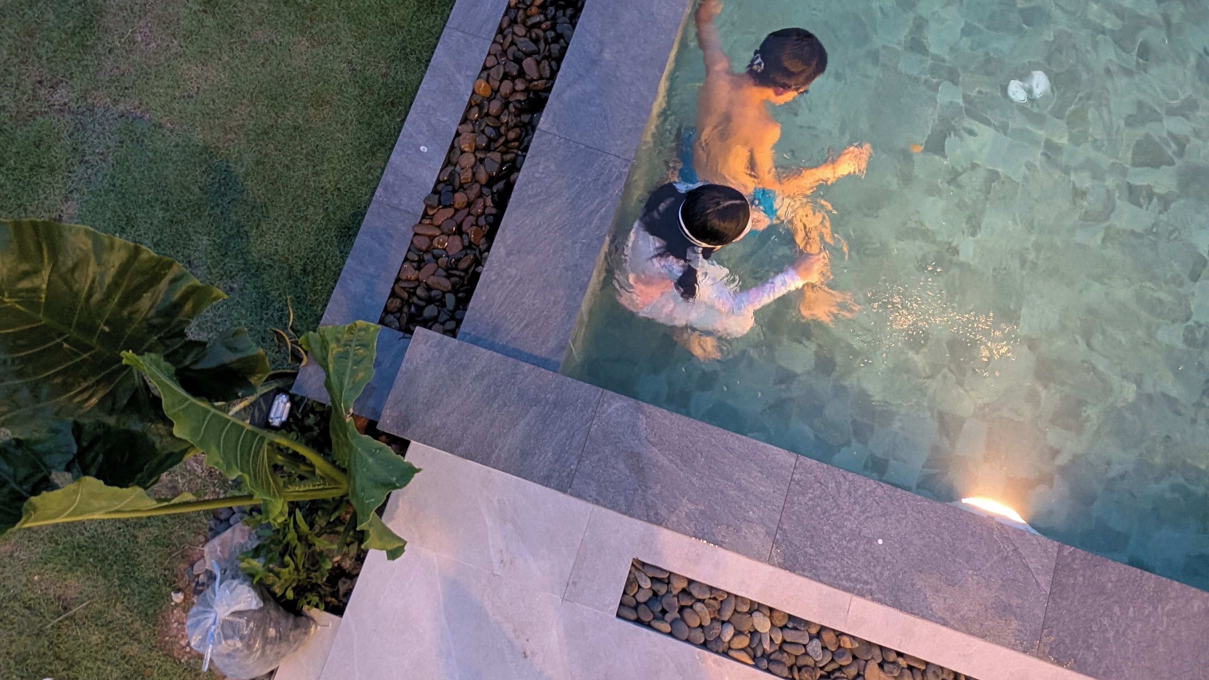 A swimming pool with clear water, surrounded by a stone border and a grassy area with plants.