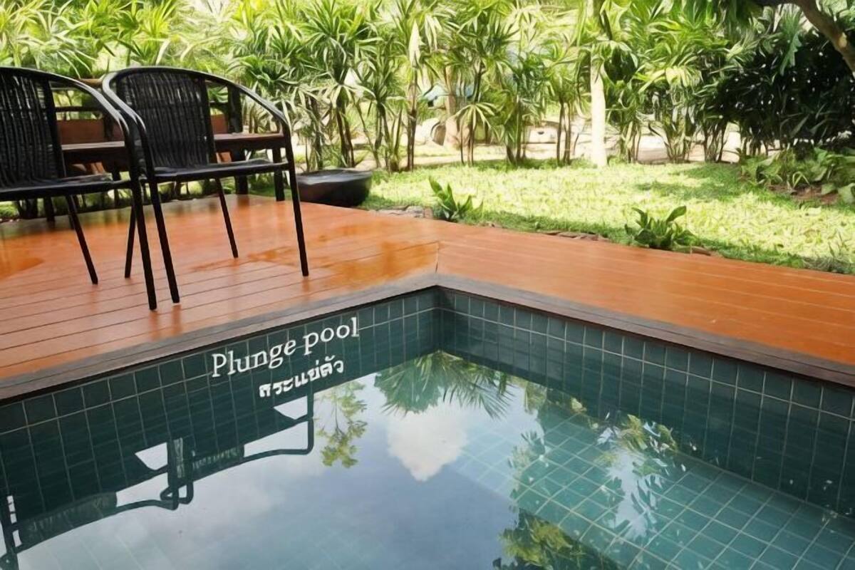 Una piscina con muelle de madera y sillas, rodeada de vegetación.
