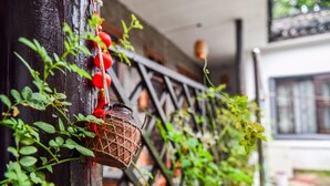 A rustic wooden wall with a hanging lantern and greenery. - Suzhou Yard (Suzhou)