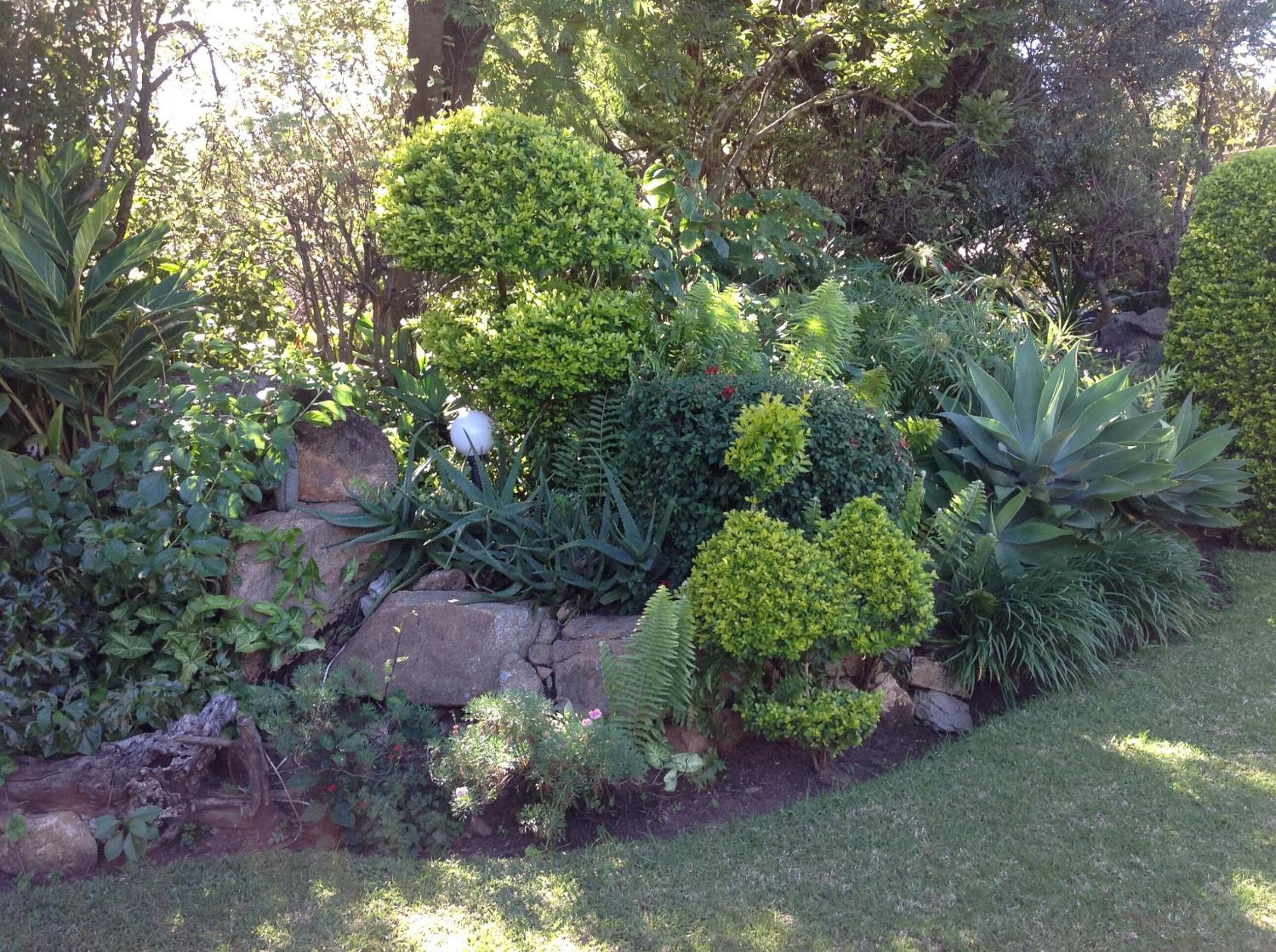 Un jardín con diversas plantas y un objeto esférico blanco.