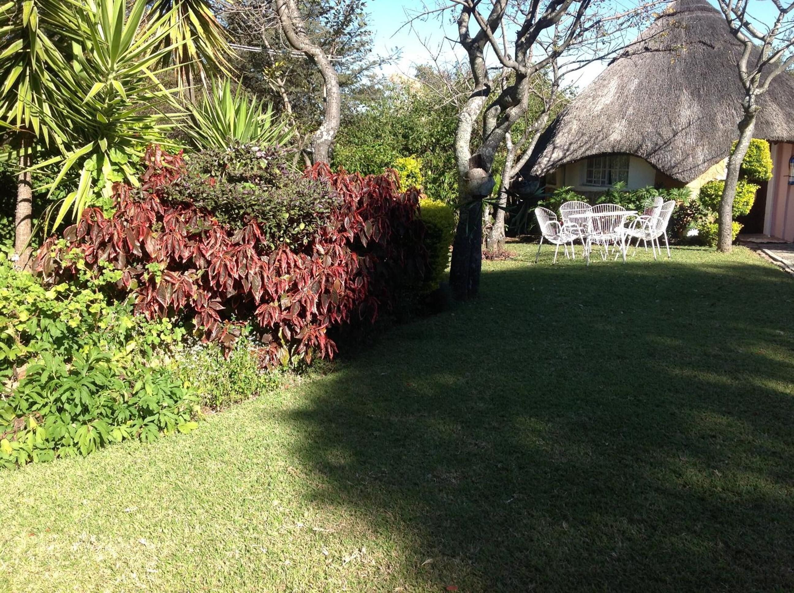 A well-maintained garden with a thatched-roof house, white outdoor furniture, and various plants.