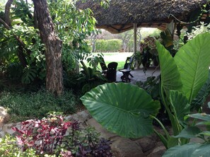Garden - Lynn's Guest House (Bulawayo)