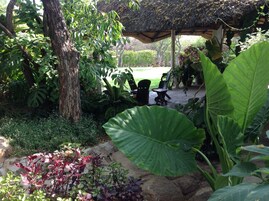 Un jardín con una estructura de techo de paja, abundante follaje verde y un sendero de piedra.