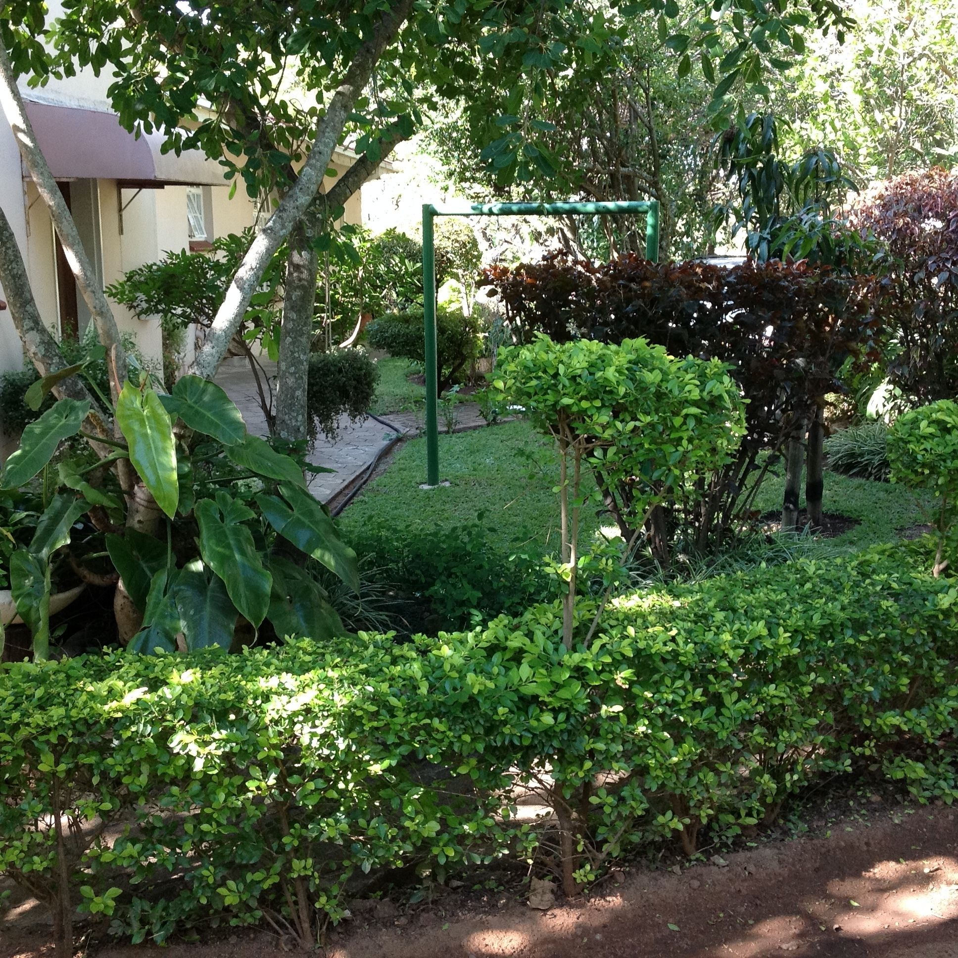 Un jardín con diversas plantas y árboles, un sendero y un edificio al fondo.