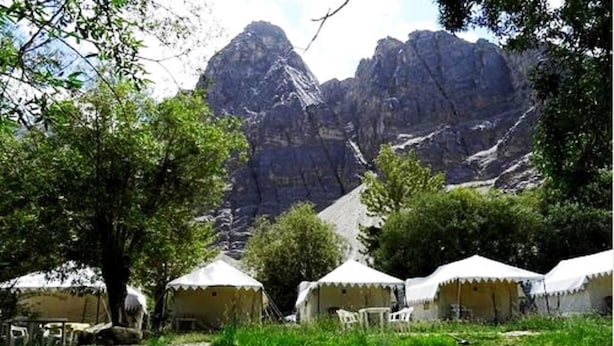 A campsite with tents, a tree, and a mountain backdrop. - TIH Royal Desert Camp (Leh)