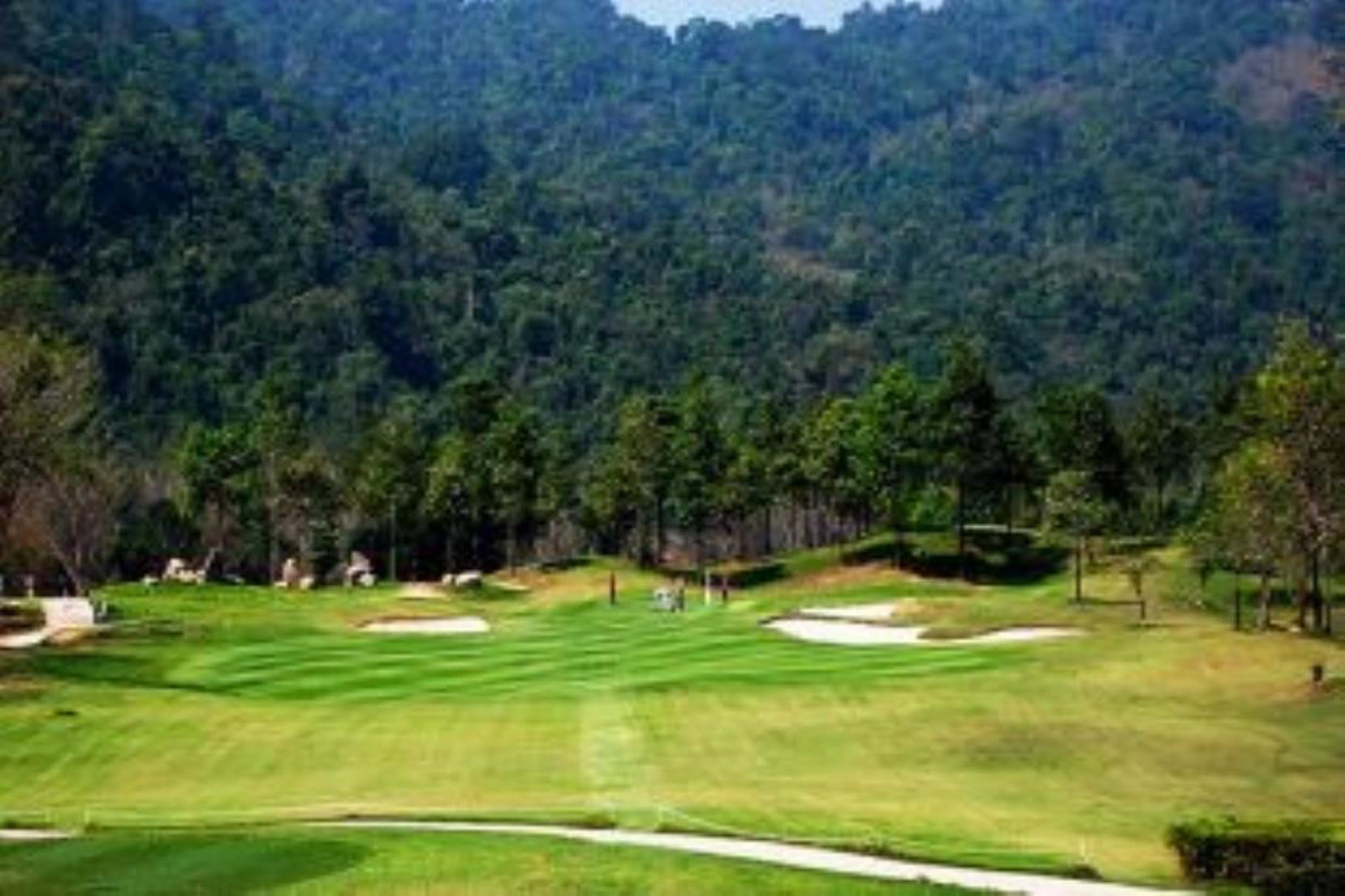 Un campo de golf con césped cuidado, bunkers de arena y un bosque al fondo.