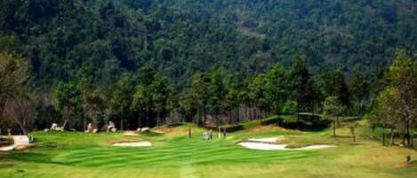 Un campo de golf con césped cuidado, bunkers de arena y un bosque al fondo.
