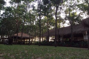 Property grounds - Singha Rubber Tree Resort (Sai Yok)