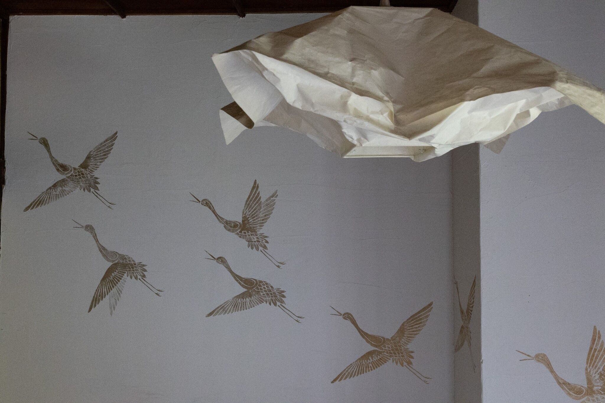 Paredes com padrão de aves em voo.