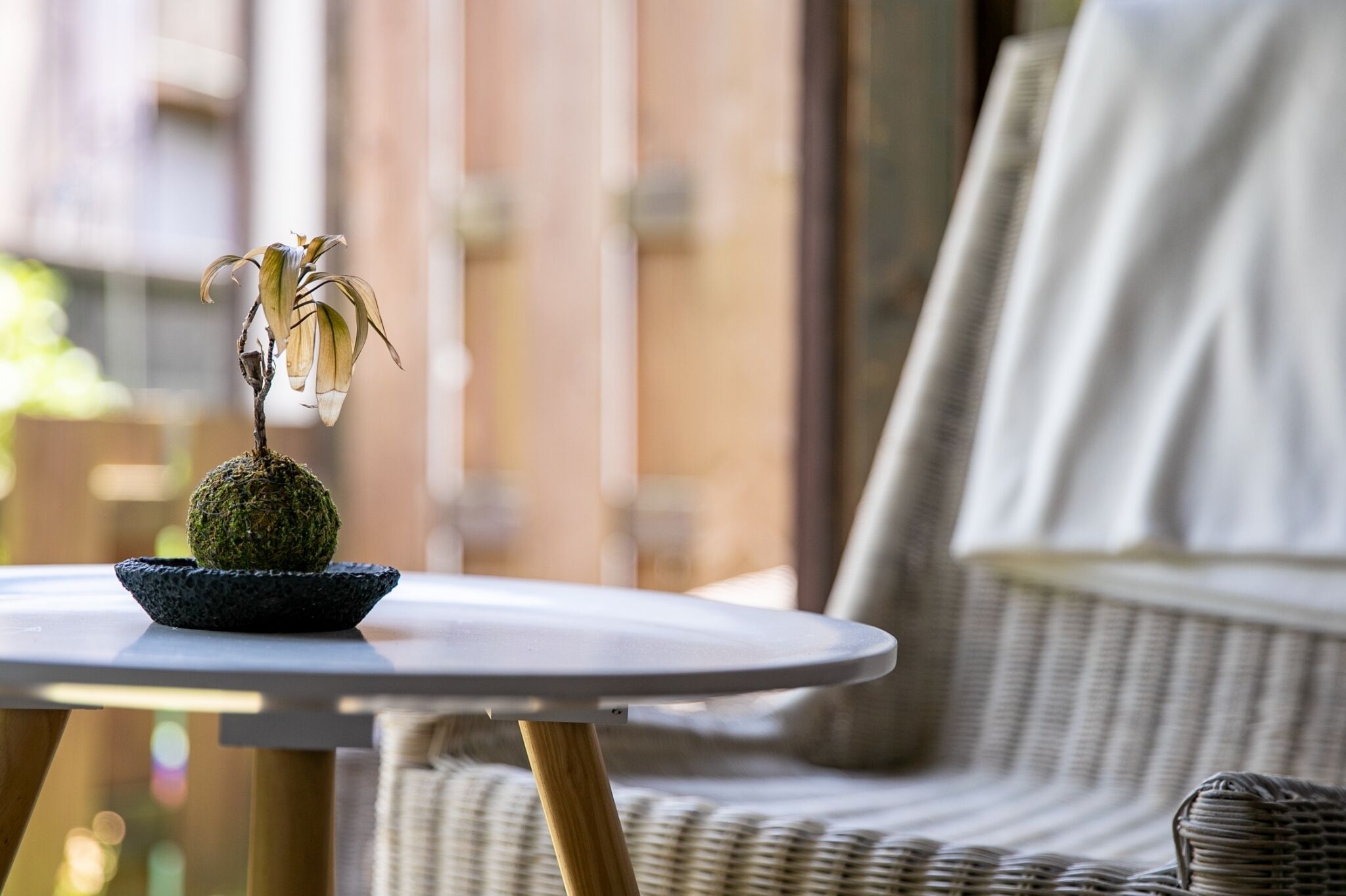 A round table with a potted plant on it, placed on a wicker chair.