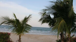 A beach with palm trees and a view of the ocean. - Moon Margo (Cha-am)