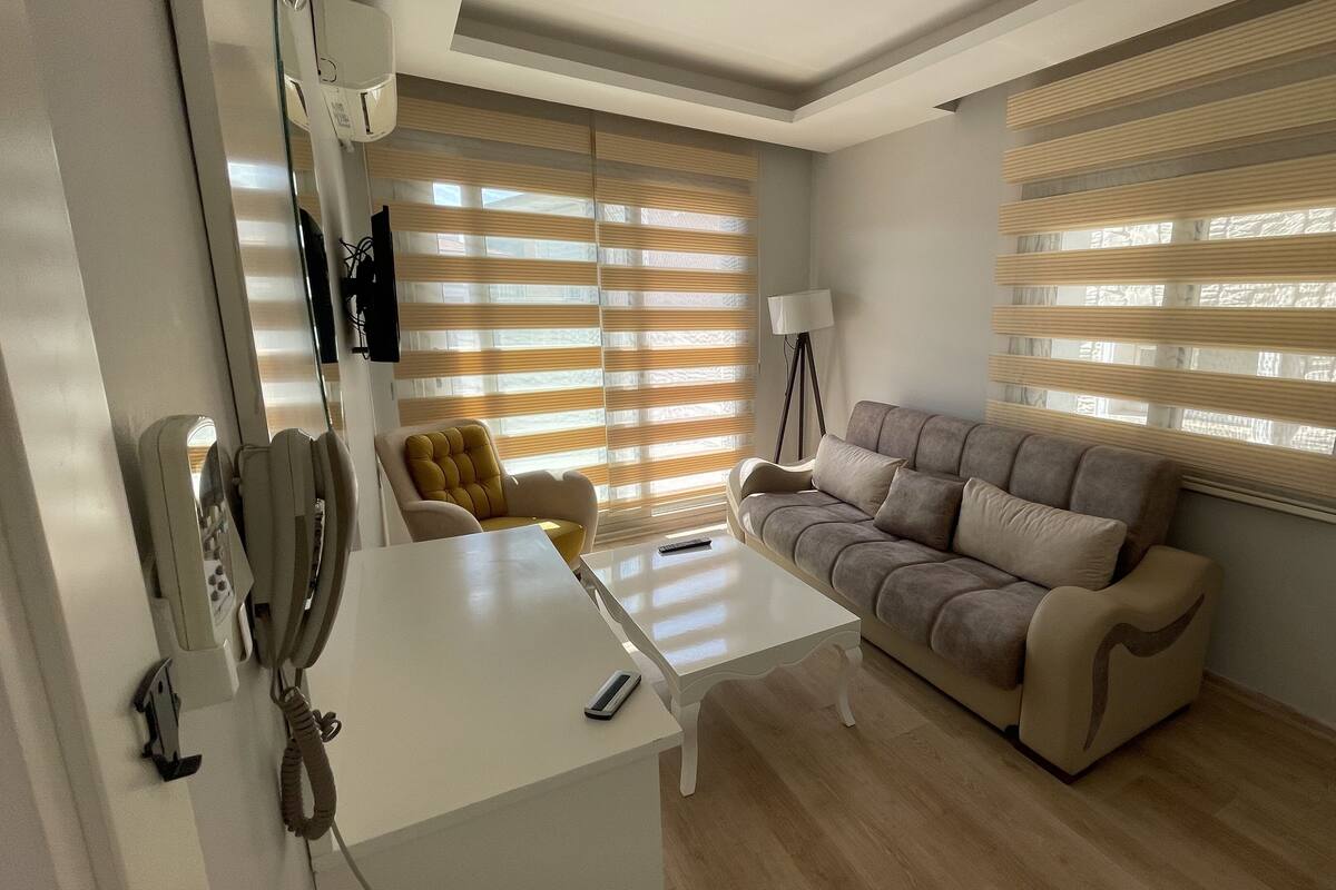 Deluxe Apartment, City View