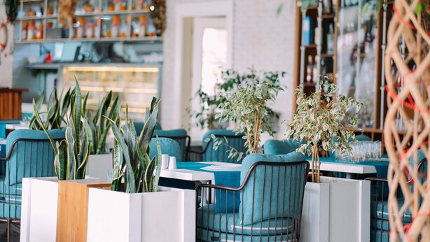 A restaurant with teal chairs and tables, surrounded by potted plants. - Sor Hotel Eskisehir (Eskisehir)