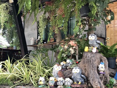 紅統霍諾胡克渡假村