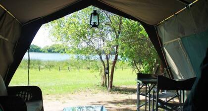Hippo Island Okavango Delta