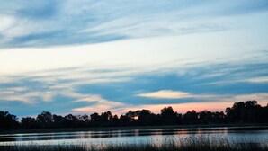 A calm lake with a clear sky and trees in the background. - Hippo Island Okavango Delta (Maun)