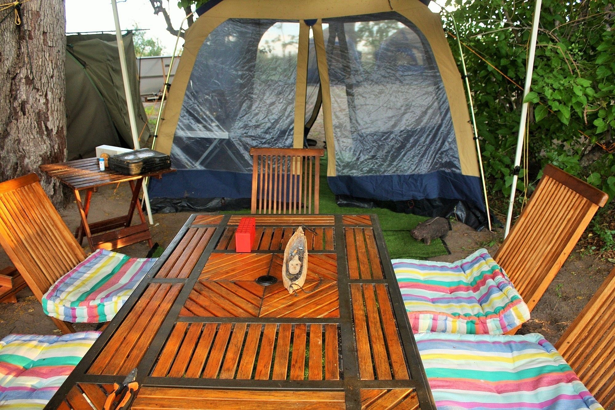 Kontinental frokost er inkludert hver dag