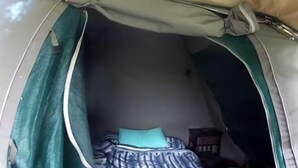 A tent with a bed inside, featuring a blue and white striped blanket and a single teal pillow. - Hippo Island Okavango Delta (Maun)