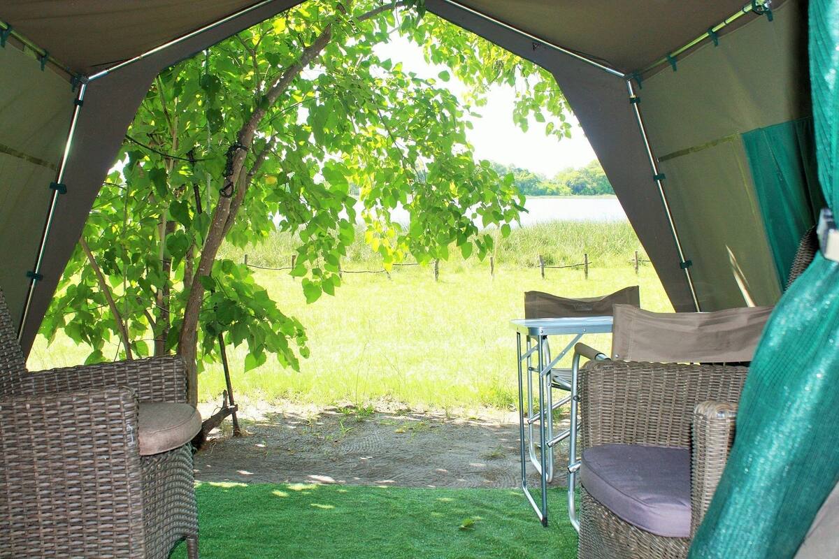 Tienda con mobiliario de mimbre y vista a un campo cubierto de hierba.