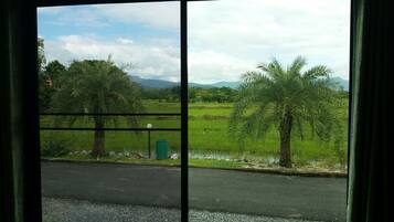 Standard Double Room | View from room