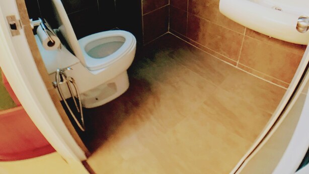 Une salle de bain avec des toilettes, un lavabo et une douche.