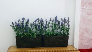 A wooden table with two flower pots containing lavender plants. - Lux Private Hotel (Petaling Jaya)