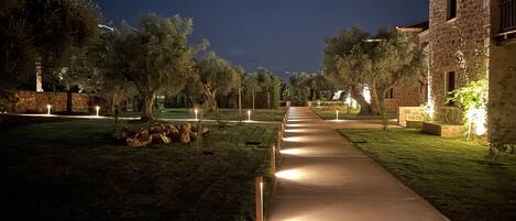 A nighttime view of a paved pathway flanked by trees and stone buildings, with lights illuminating the path.