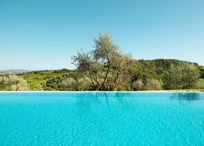 A clear blue pool with a tree in the middle and a view of a green hillside in the background. - Fattoria Fibbiano (Terricciola)