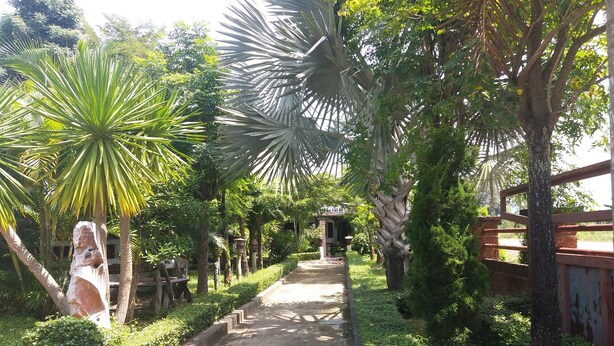 A pathway lined with various tropical plants and trees, leading to a building with a traditional architectural style. - Chortip Resort (Pak Phli)
