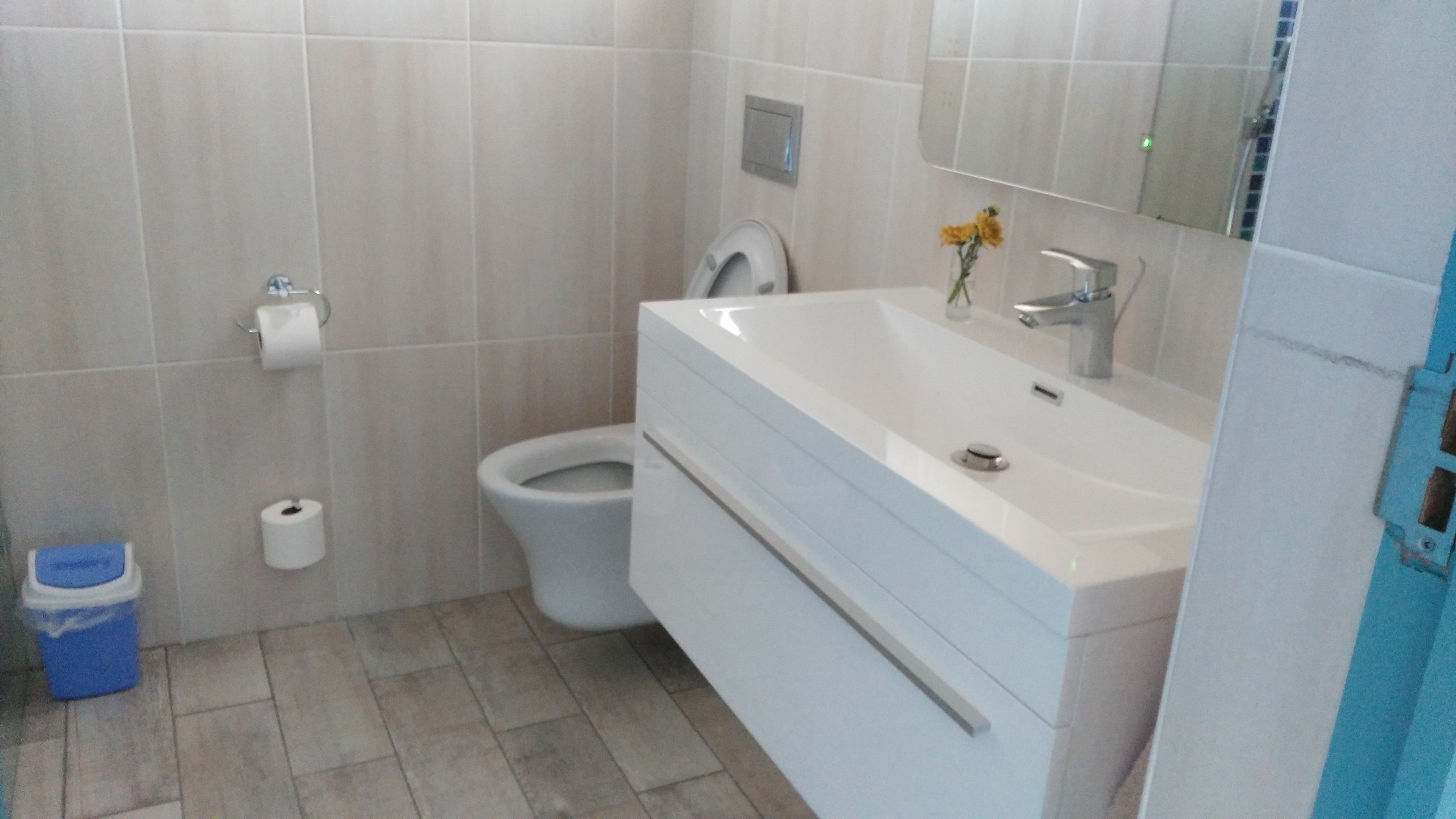 A bathroom with a toilet, sink, and mirror.