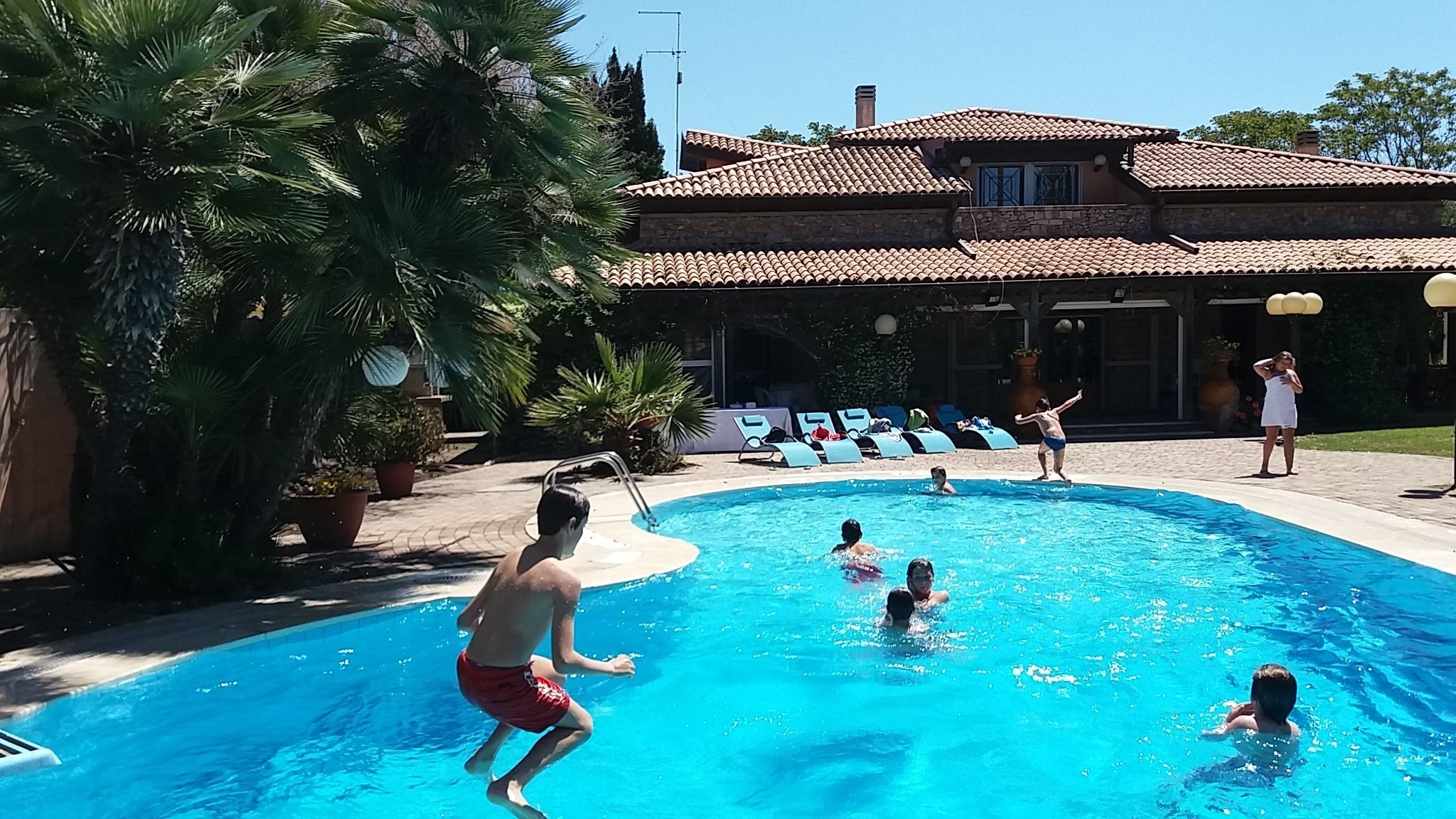 A swimming pool with people swimming and playing, surrounded by palm trees and a building with a tiled roof.
