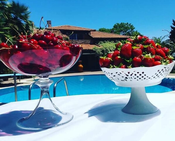 Food and drink - All'ombra del palmeto (Taranto)