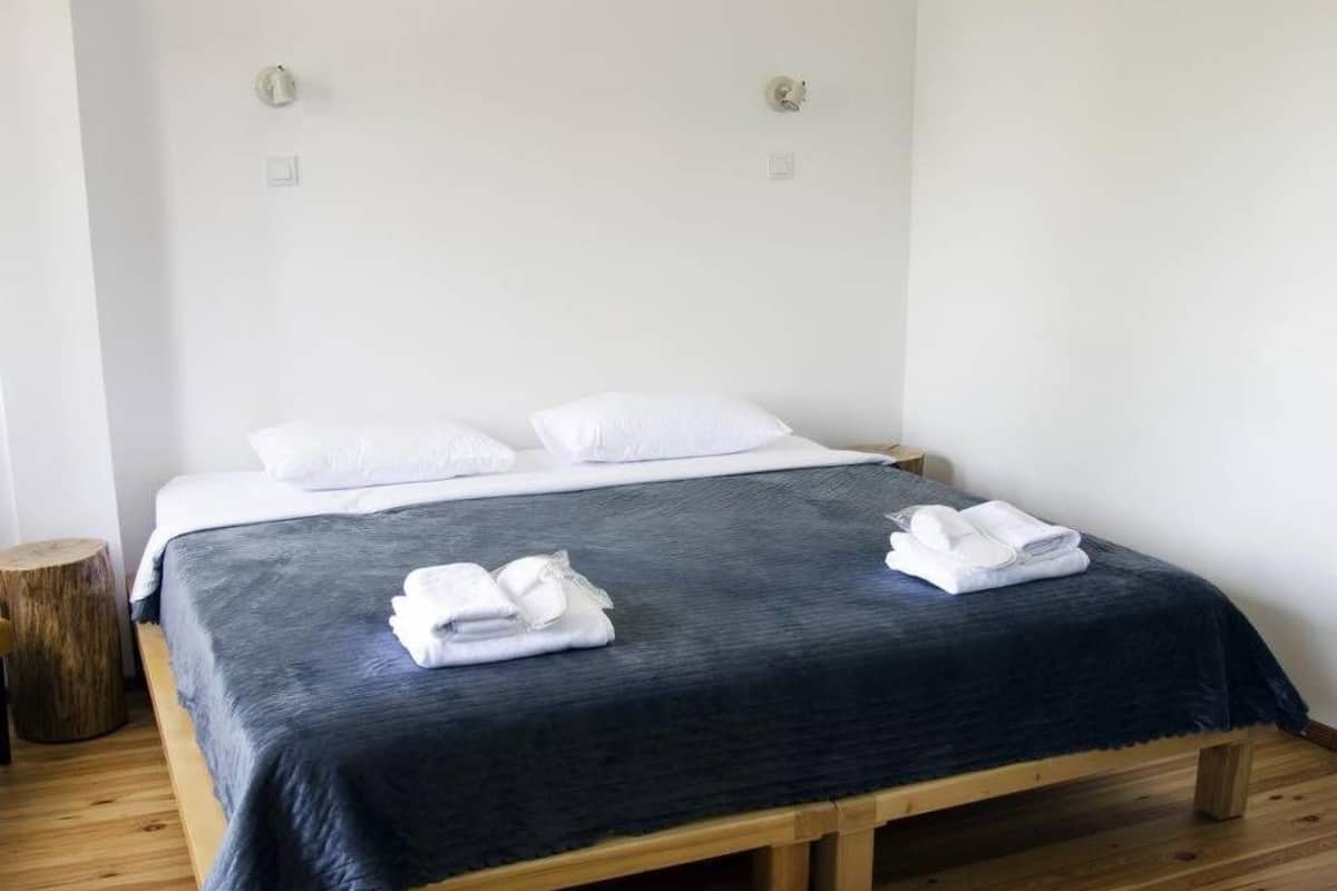 Standard Double Room, Pool View | Desk, blackout drapes, iron/ironing board, free WiFi