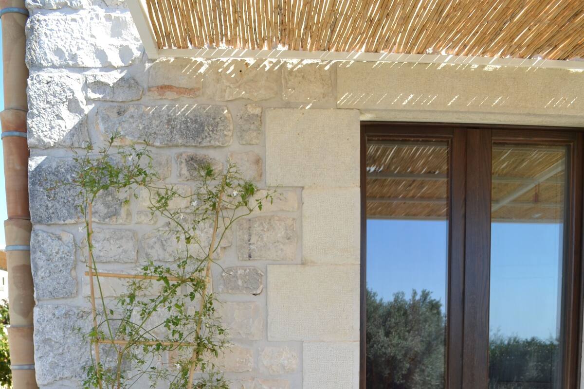 A stone building with a potted plant and a wooden door.