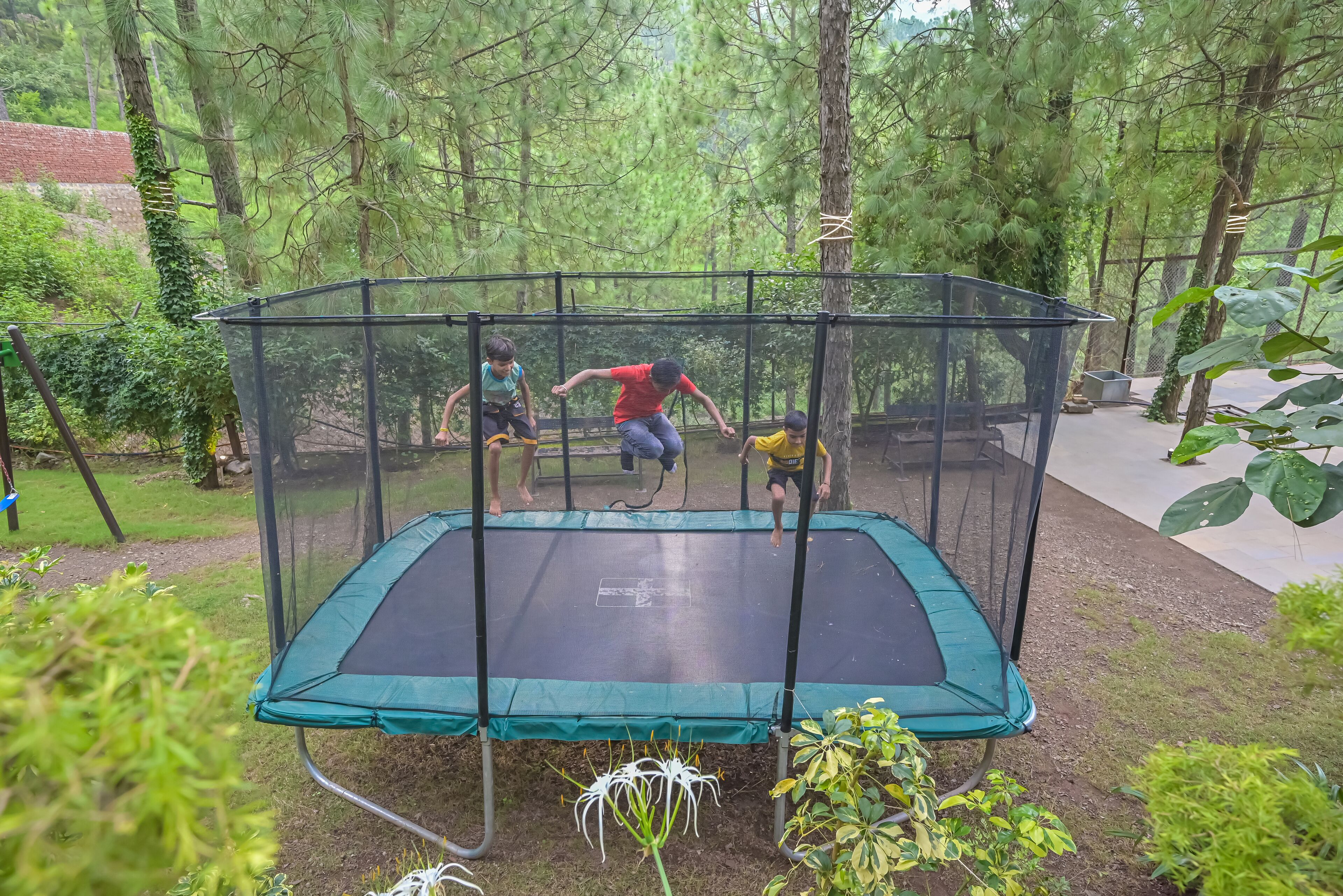 A trampoline with a safety net, surrounded by trees and greenery.