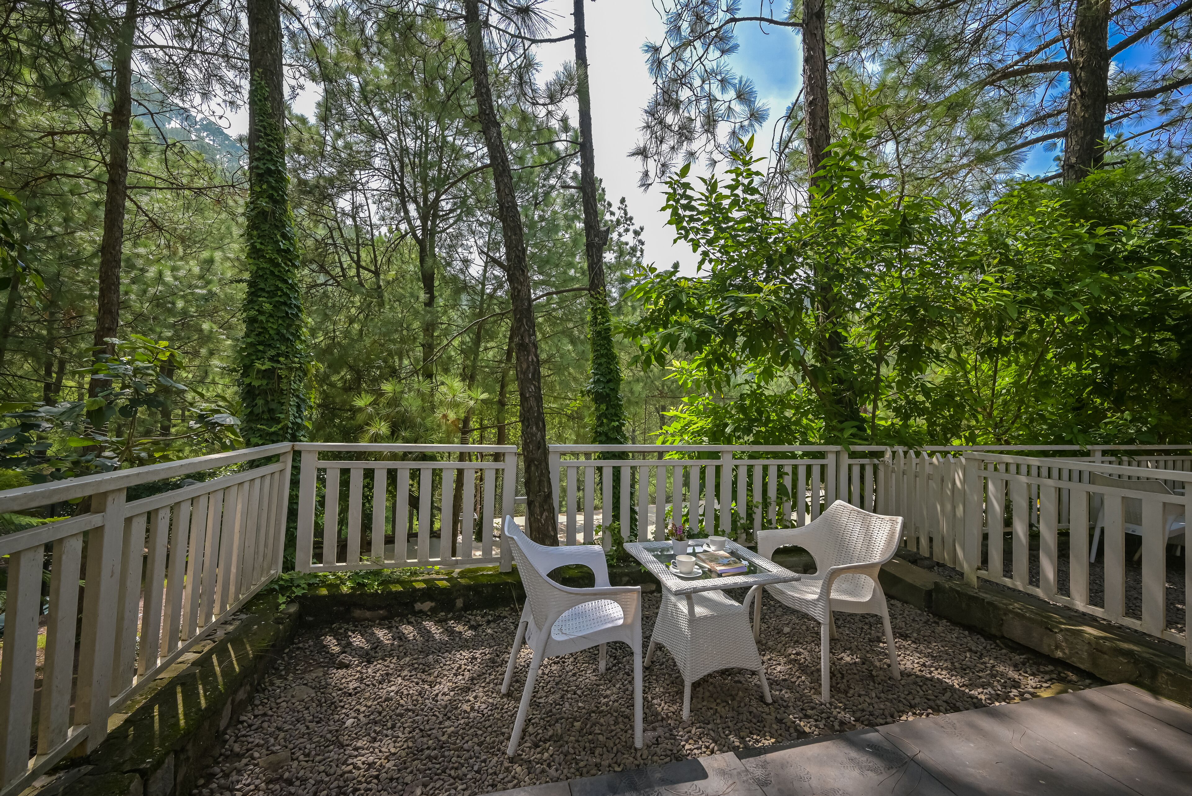 Un espace extérieur aménagé avec des meubles en osier blanc et une clôture blanche, entouré d’arbres et surplombé d’un ciel dégagé.