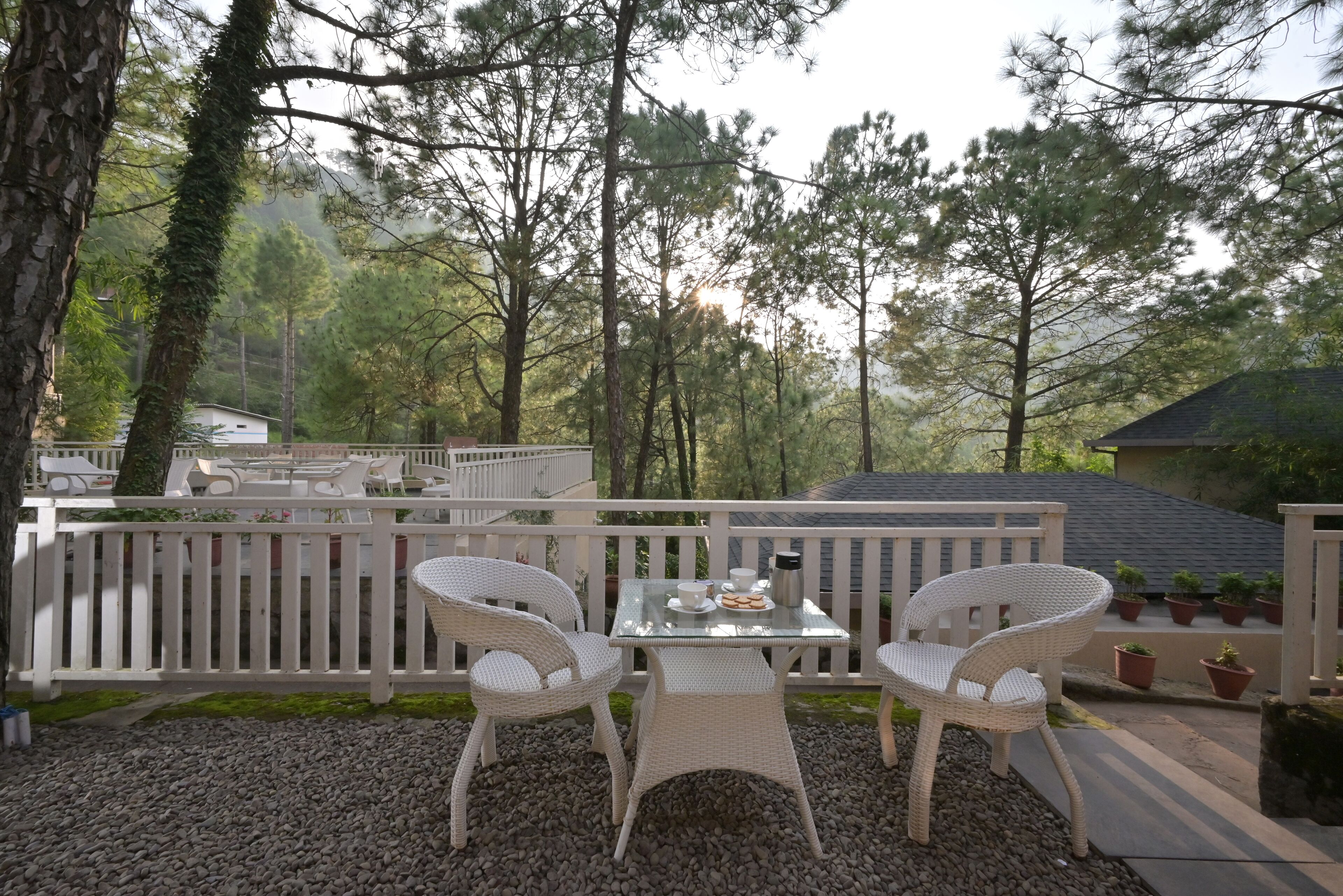 Un espacio al aire libre con sillas de mimbre y una mesa, rodeado por una cerca blanca y plantas en macetas.