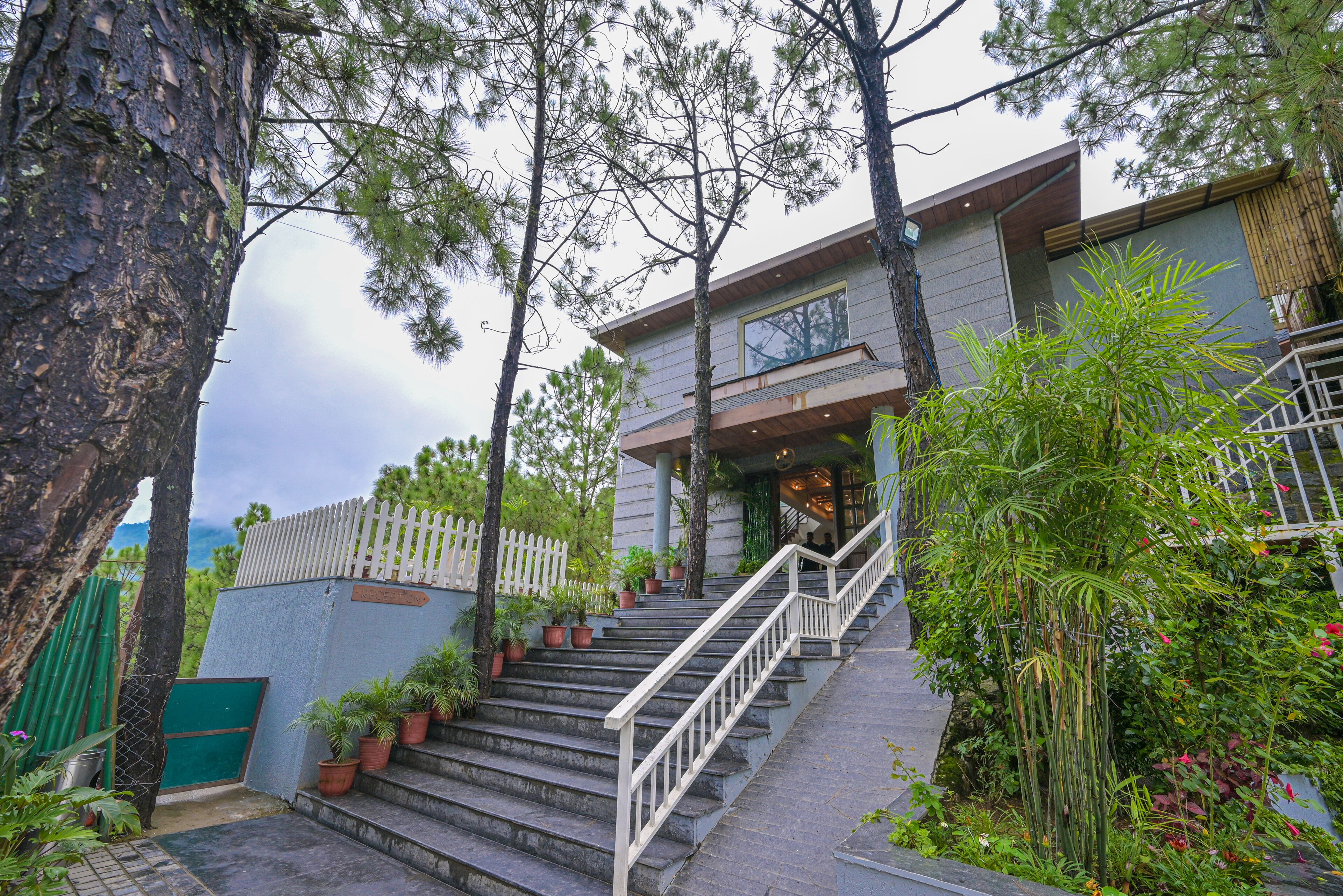 A modern house with a staircase leading to the entrance, surrounded by trees and potted plants.
